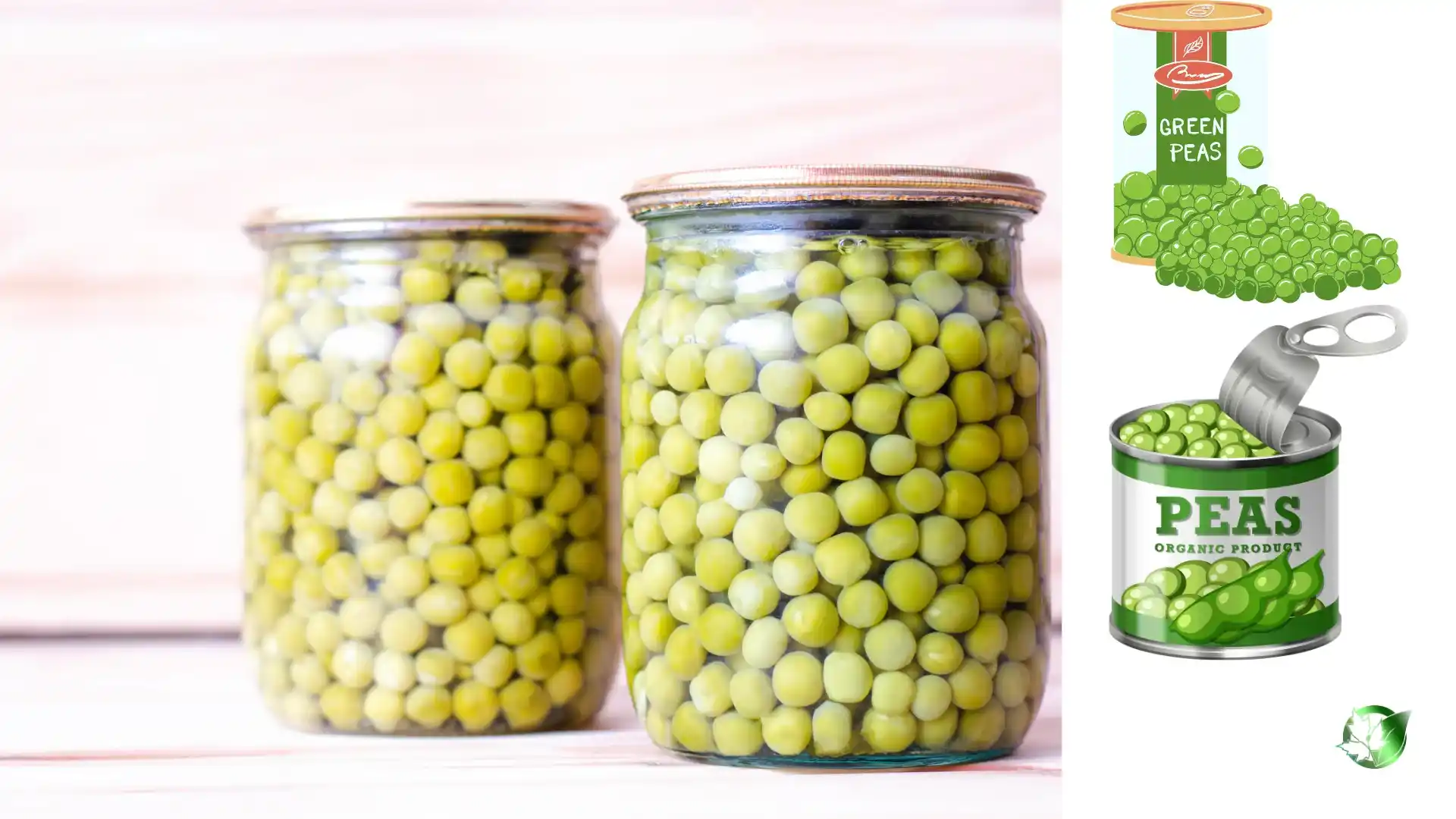 Commercial presentation of Canned Green Peas for wholesale product evaluation and buyer review.